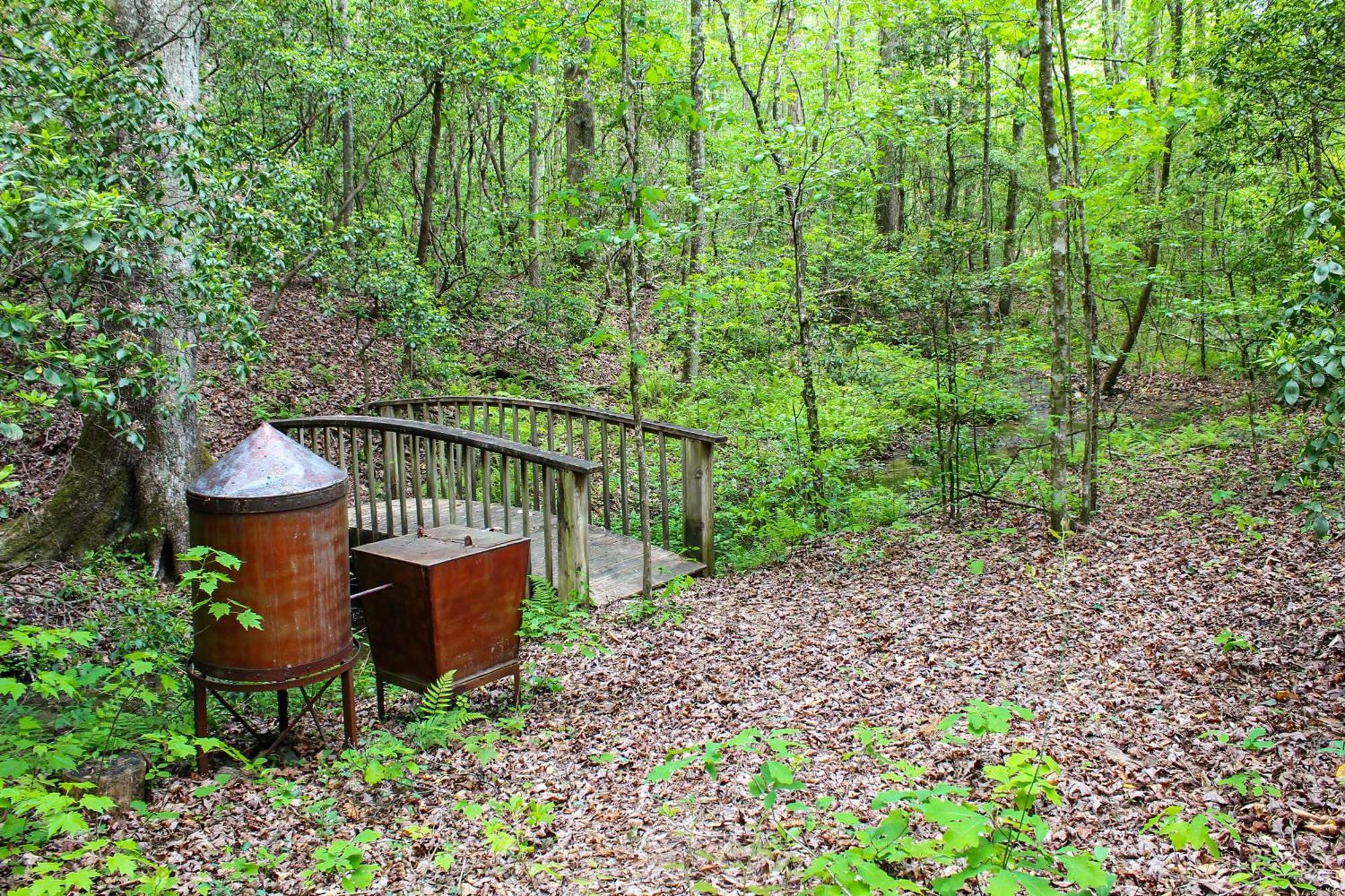 Sautee Nacoochee Mtn Paradise With Spacious Deck! Buitenkant foto